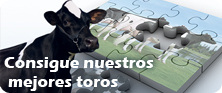 Catalogo de toros 